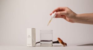 Medicinal Mushroom Tincture 30ml