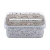 Short Dated Magic Mushroom Grow Kit