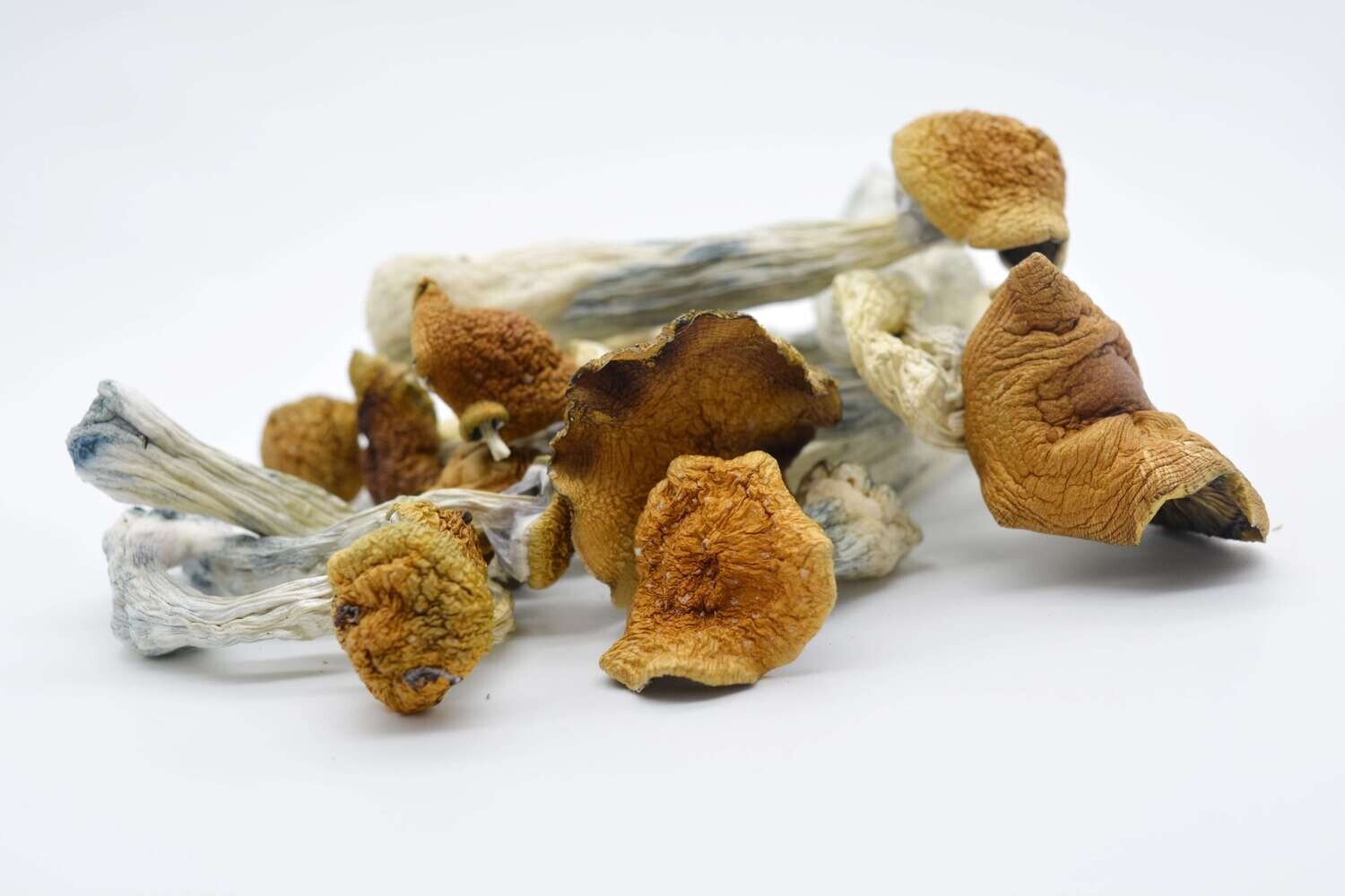 Blue Meanie Magic Mushrooms - Image 4