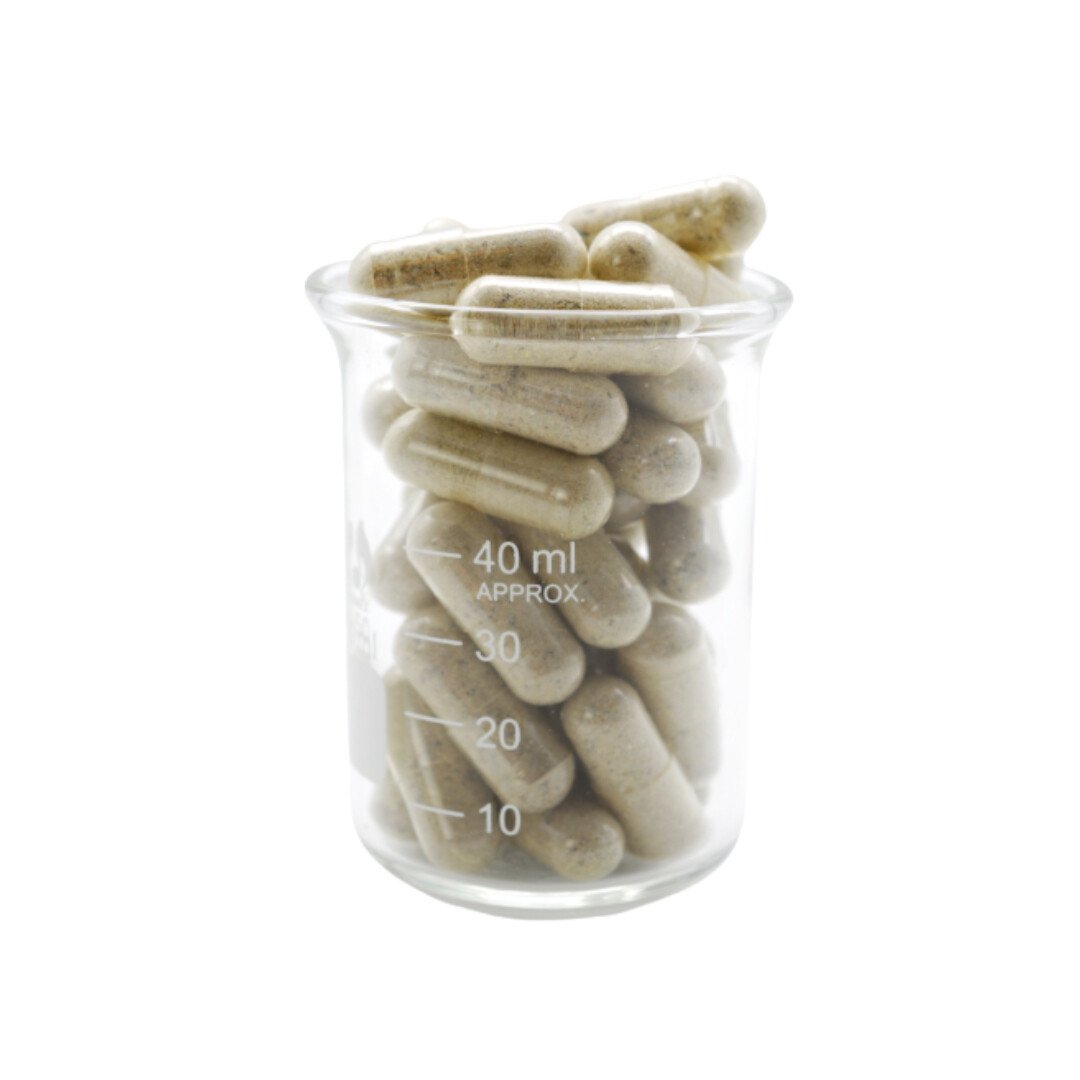 San Pedro (Mescaline) Microdose Capsules - Image 2