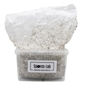 Ready-Fruit Grow Kit