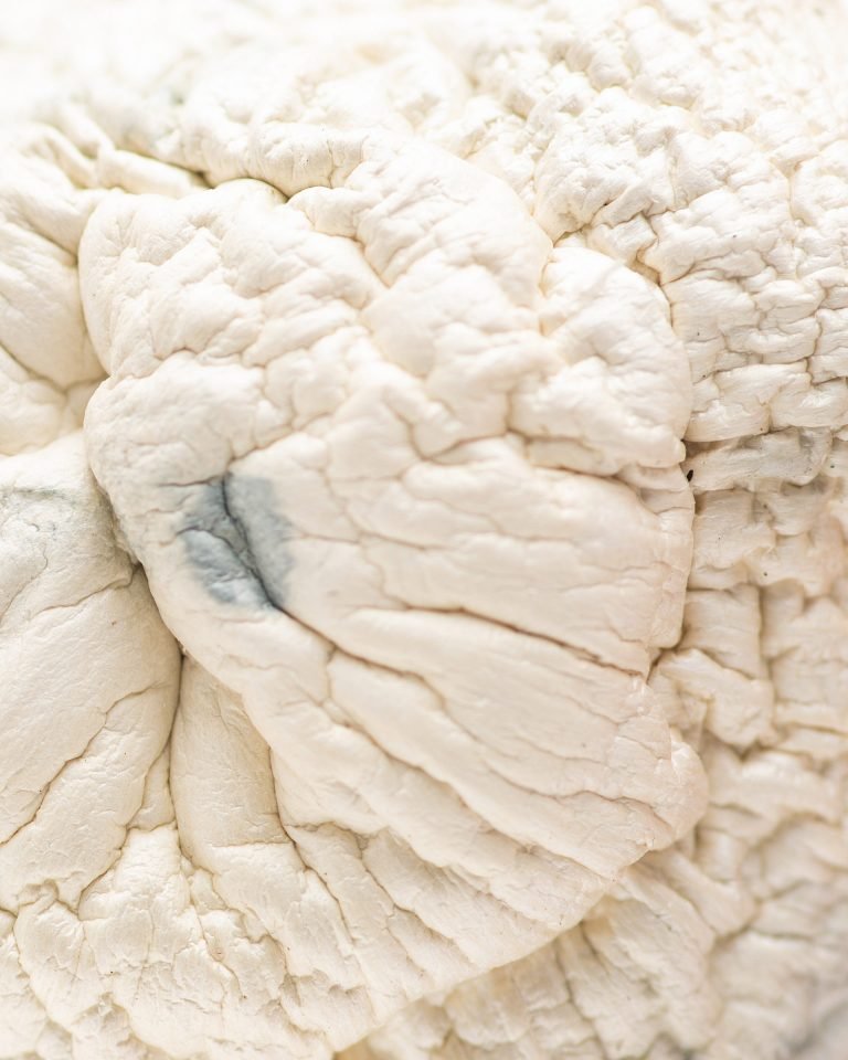 Albino Penis Envy for Sale - Image 3