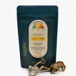 Blue Meanies Mushroom for Sale - Image 2