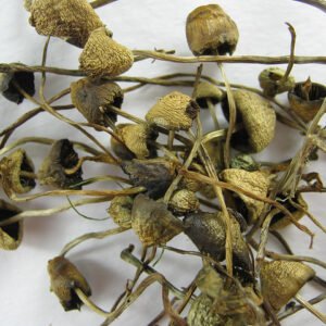Buy Liberty Caps online