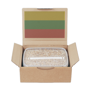 Magic Mushroom Grow Kit PES Amazon by Mondo®