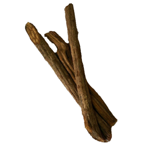 Banisteriopsis Caapi | Trueno - Herbs of the Gods