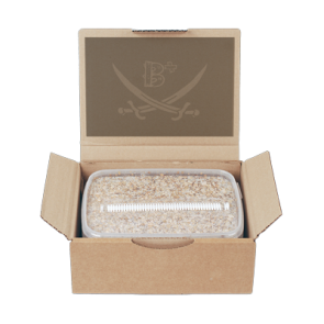 Magic Mushroom Grow Kit B+ by Mondo®