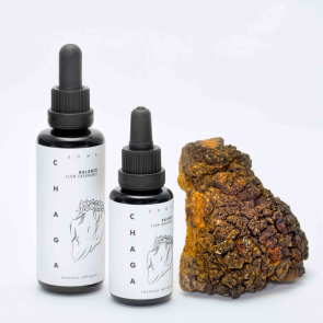 Chaga mushroom tincture - Inonotus obliquus extract | KÄÄPÄ Health