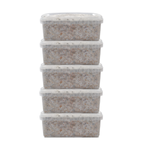 5 Magic Mushroom grow kit Discount Pack - MycoMate®
