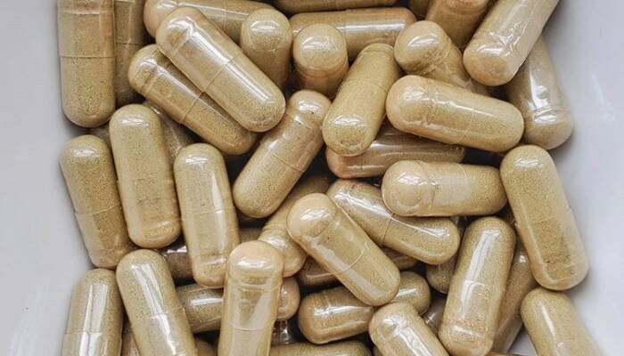 Buy Mushroom Capsules