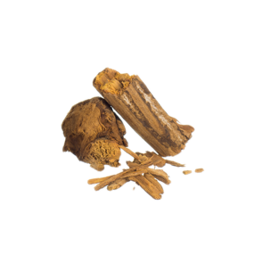 Banisteriopsis Caapi | Ourinhos - Ayahuasca Herbs