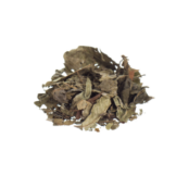 Chacruna Psychotria viridis