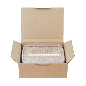 Magic Mushroom Grow Kit RedBoy by Mondo®