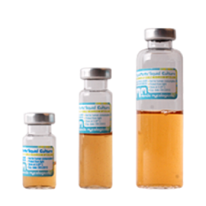 Liquid Culture Growth Medium