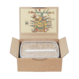 Magic Mushroom Grow Kit Mazatapec by Mondo®