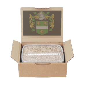 Magic Mushroom Grow Kit McKennaii by Mondo®