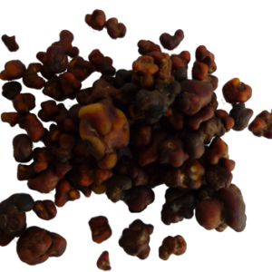 Magic Truffles Mexicana