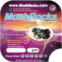 Magic Truffles Galindoi Mushrocks