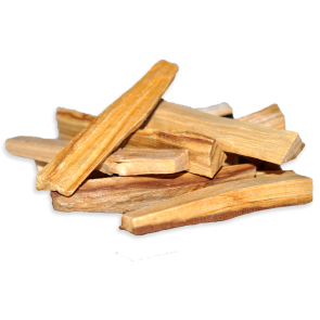 Palo Santo | Holy Wood | Bursera graveolens