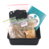 San Pedro Cactus Grow Kit | Echinopsis pachanoi