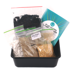 San Pedro Cactus Grow Kit | Echinopsis pachanoi