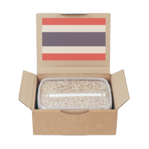 Magic Mushroom Grow Kit Thai by Mondo®