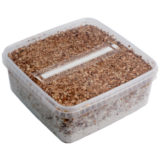 Magic Mushroom Grow Kit B+ XL by Mondo®