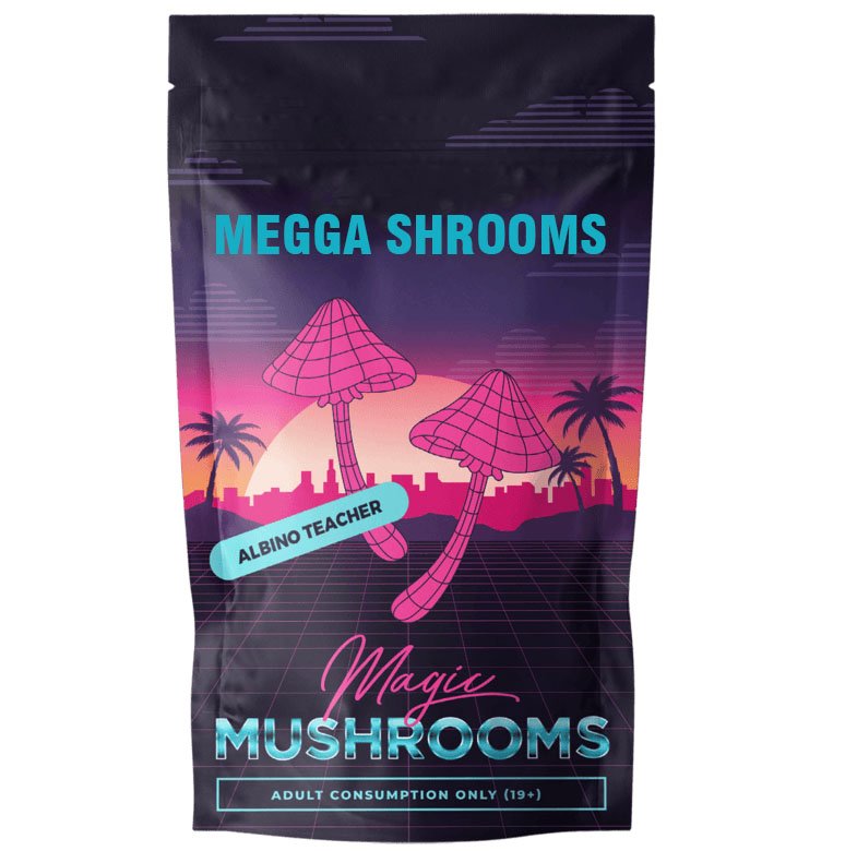 ALBINO TEACHERS MAGIC MUSHROOM