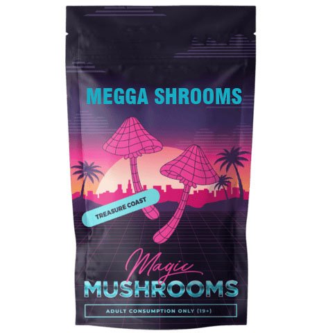 ALBINO TREASURE COAST MAGIC MUSHROOMS