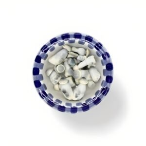 Albino Penis Envy Premium