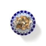 Malabar Magic Mushroom